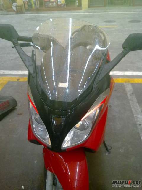 阿普利亚大绵羊