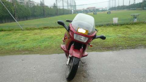 深度中毒于小黄蜂，暂停出售了！