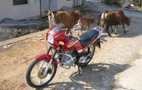 请版主删贴~~~暂停出售~