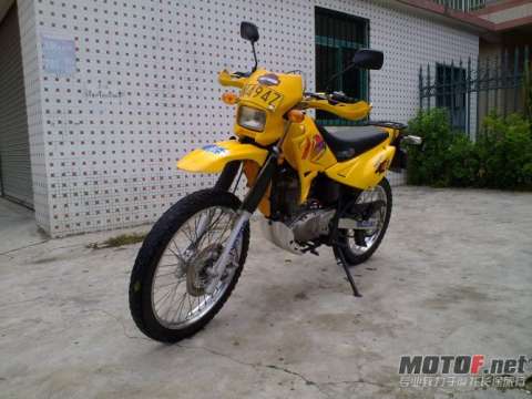 藏傲狗仔200C爬鸡