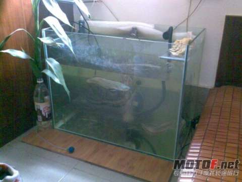 又開始玩玩自行車