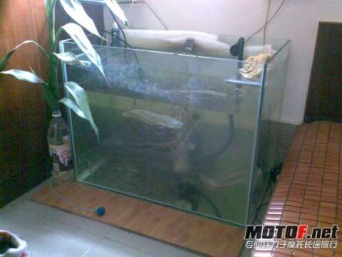 好東西不是時時有，手快有 手慢沒。。。