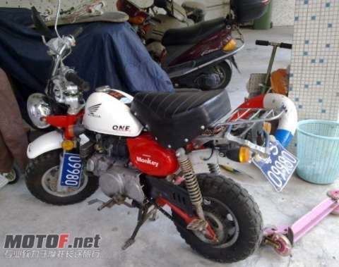 组装本田猴子！