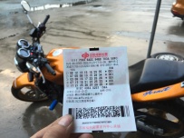 代友出01欧版黄蜂600