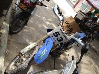 7100元！！广东廉江急出10年水冷正林~~~等钱用