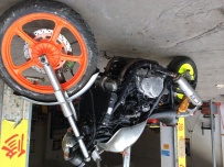 出售神B，小猪头，马格纳750