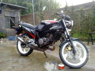 从化出售精神tzr125