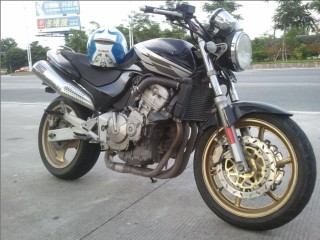 茂名卖99黄蜂600