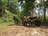 出两台越野本田MTX200和末代Td R125