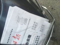 出台五羊小公主100