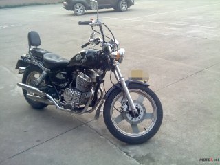 广西平南出售太子250