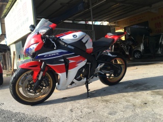 08鹦鹉原灯不原板