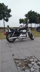 2011年哈雷883L版 2011年哈利883L版