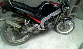 白云区代友出售T仔尸体和P4电脑咪表尸体