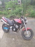 梧州地区代友出售99小黄锋