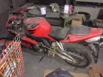 急出台CBR1000尸体