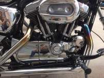 06年硬汉哈雷883马蹄声，化油器金典 接受换车！！！