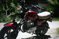 出台本田峰翼跟春风狒狒