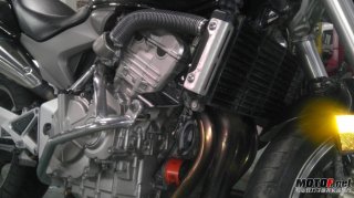 广州代友出售06变异黄峰600