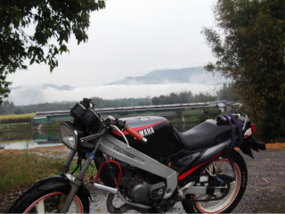 重发 东莞急售TZR125  3500元