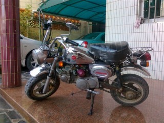 佛山乐从3300元出售非一般的猴子