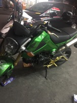 卖烦了2014进口泰国猴子 你爽快 我更爽快