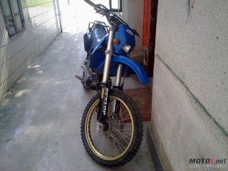 卖了林道，换专业。