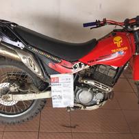 博罗石湾出售0西藏人25扒鸡