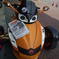 代友出售12年精神宠巴迪