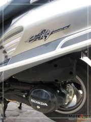 本田（茜茜公主）-本田（E彩）