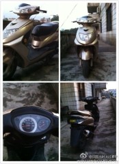 广州白云出售豪华纪念版迅鹰