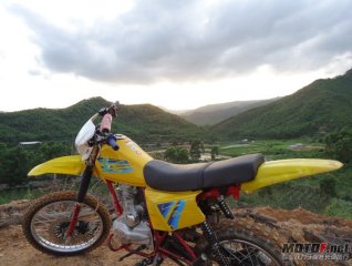 江门白菜价出售白菜