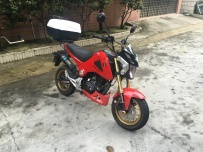 广州南沙大岗慢出国产猴子