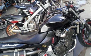 汕头售01款黄6 ，精神黄蜂600