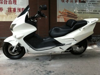 广东省云浮地区出售靓仔FORZA（佛沙）