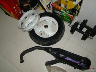 已送人，请去贴！！！！！