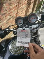 广东云浮市区代友出04变异黄蜂600