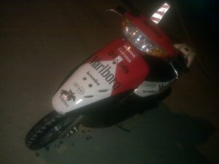 出售本田小绵羊zx一台