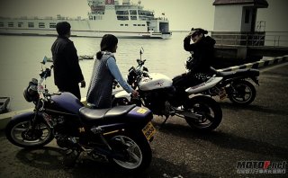 从新发帖，湛江徐闻小黄蜂自刀700！！