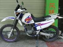 广州从化代友售雅马哈TTR