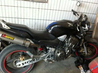 惠州博罗石湾出售黑头蜂9一9