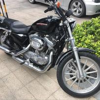 河源出售哈雷833运动版~~~~车况完美，价格优惠！