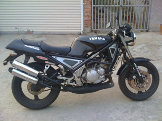 佛山顺德 6000 代友出台 R1-Z