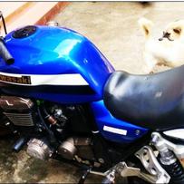 清远连州出售04大猪头1200CC