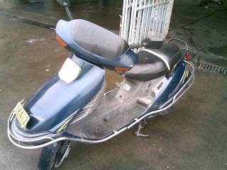 江门开平水口1500放超级靓仔大绿鲨