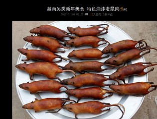 顺德出售黄蜂250（感谢绿茵直播 车以给本地车友秒走 麻烦锋少删贴 谢谢）