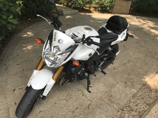 东莞地区出YAMAHA  FZ8N