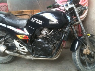 肇庆市高要出售一只精神蓝宝石