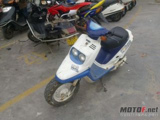 阳江市出售鸭子一台2500元