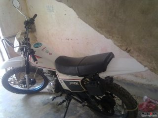 广东湛江卖越野白菜，价格贱卖